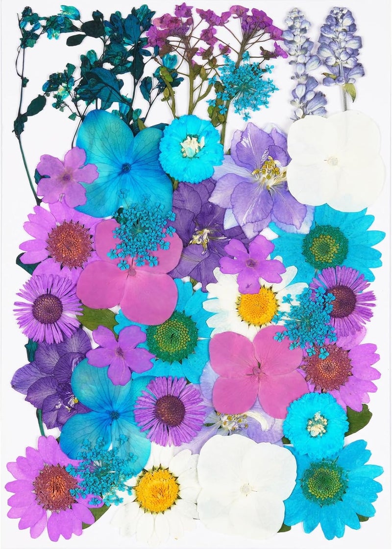 Xinxinran 40Pcs Dried Pressed Flowers for Crafts, Dry Flower Kit for Resin Molds,Epoxy Resin Accessories,Bookmark,Nails, Jewelry Molds,Candle Making Supplies,Soap,Cake(Blue-Purple) - Image 1